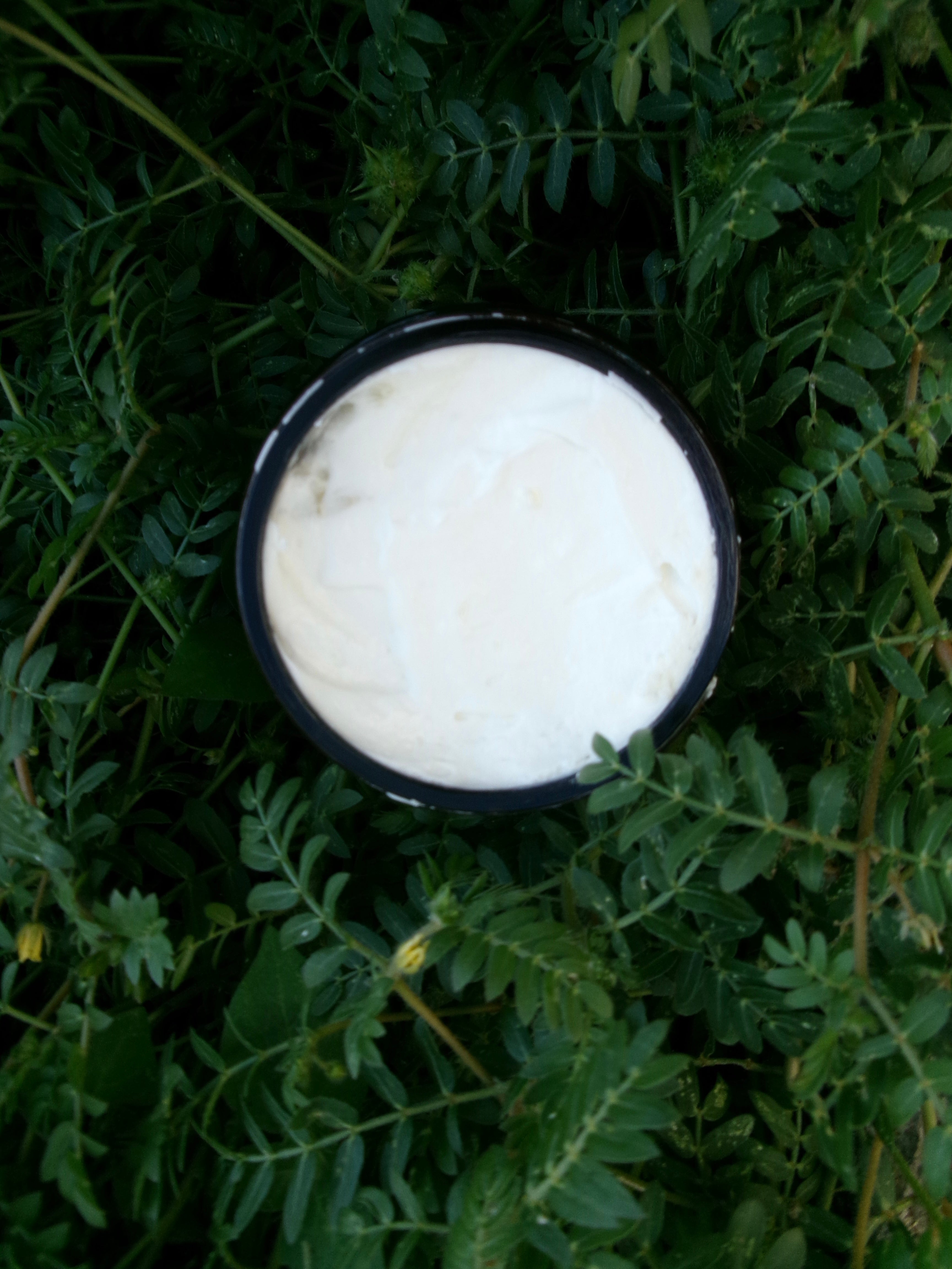 Organic Body Butter