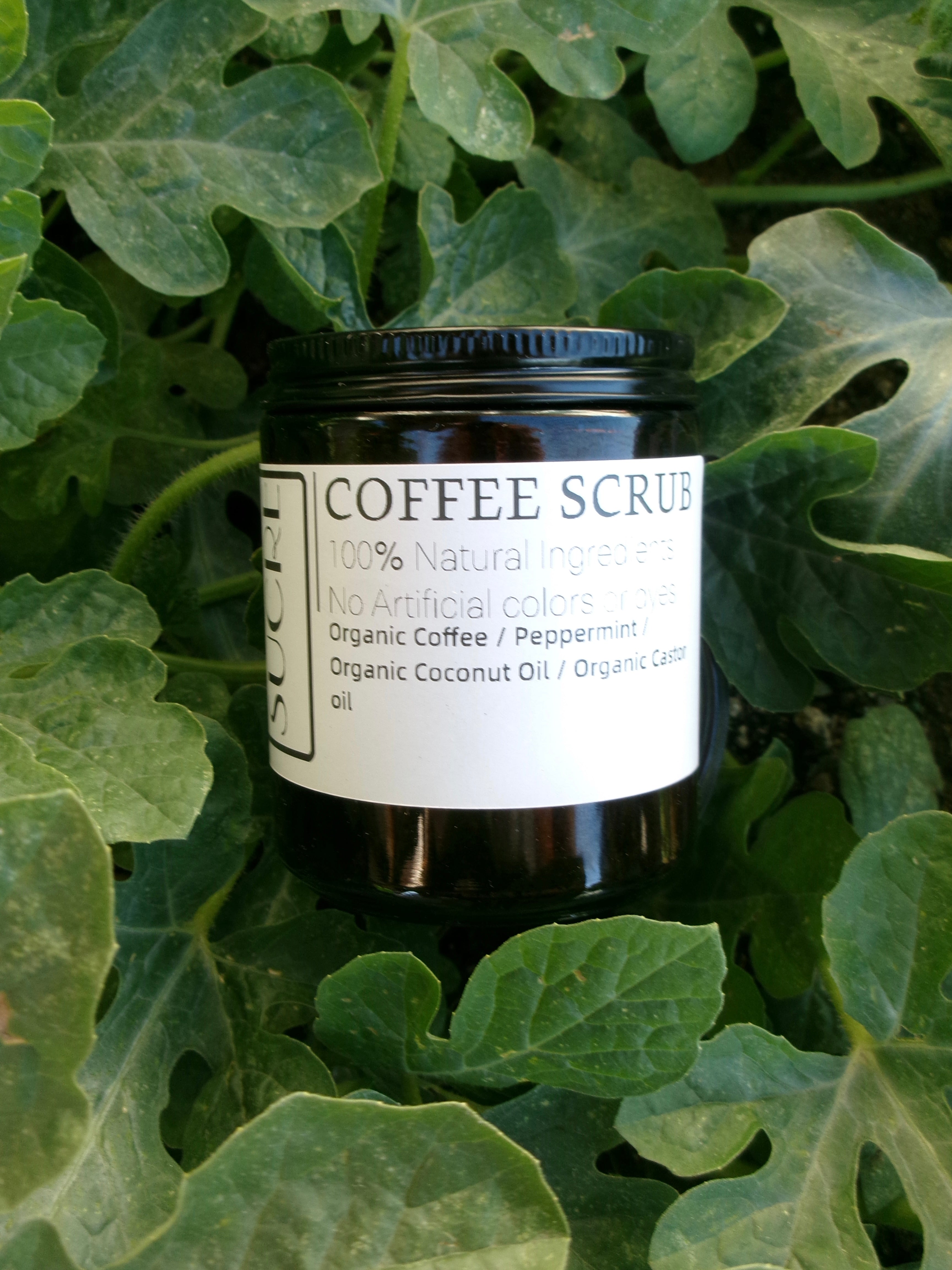 Organic Coffee Scrub + Peppermint