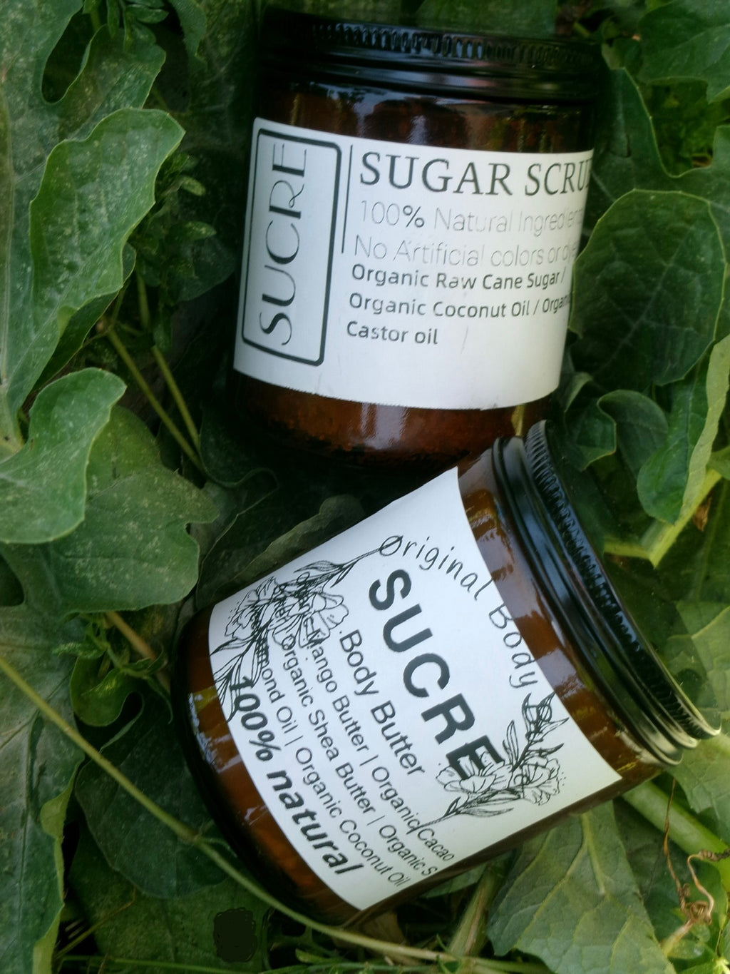 Sucre Signature Bundle